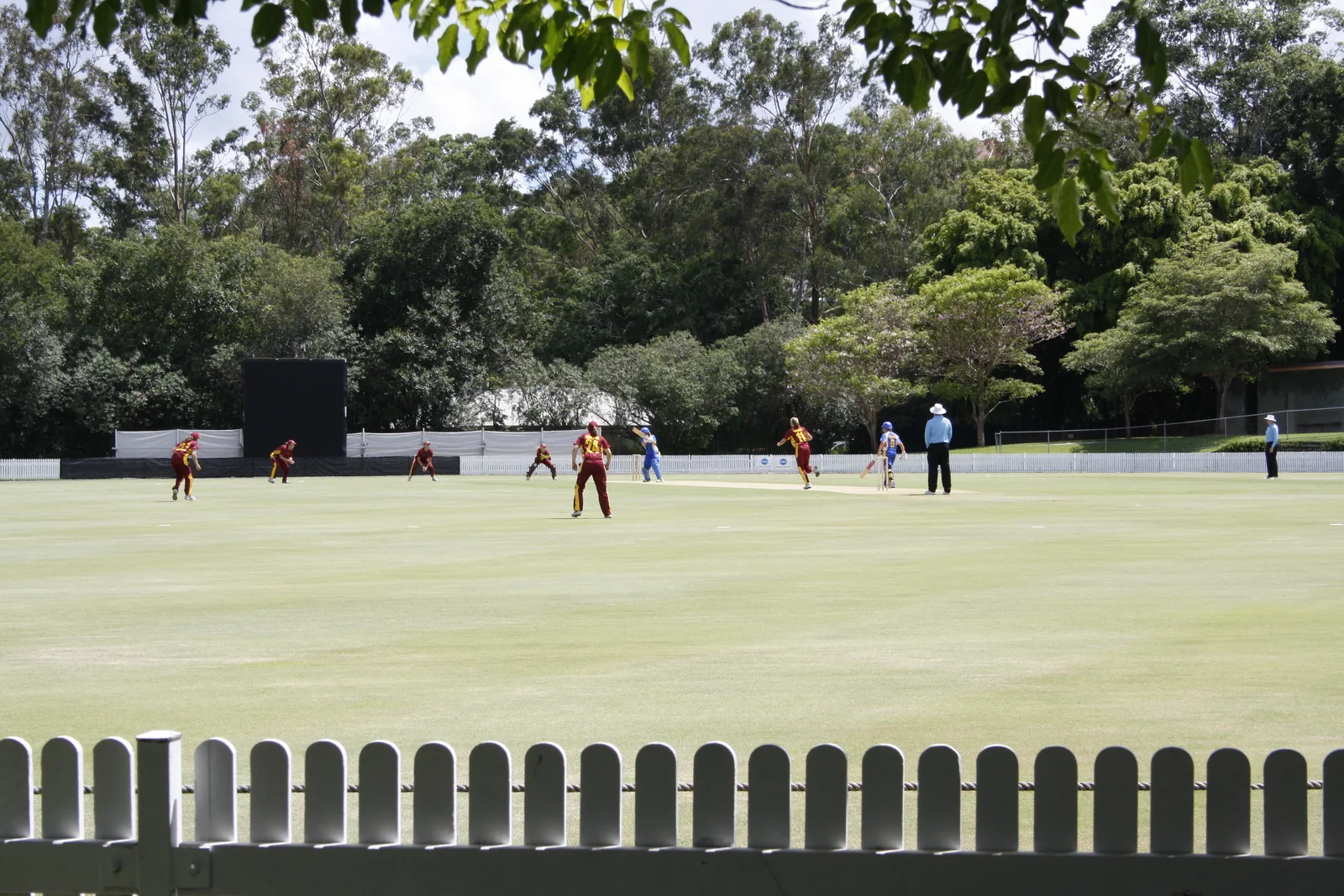 Archival view of Allan Border Field in Brisbane, with the cricket oval and pavilion visible.