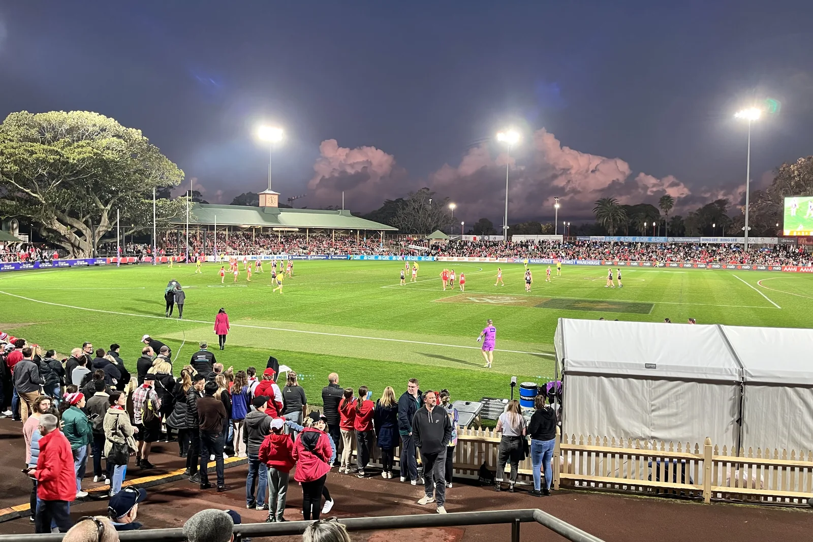 Archival view of North Sydney Oval; not a current 2026 pitch photograph.